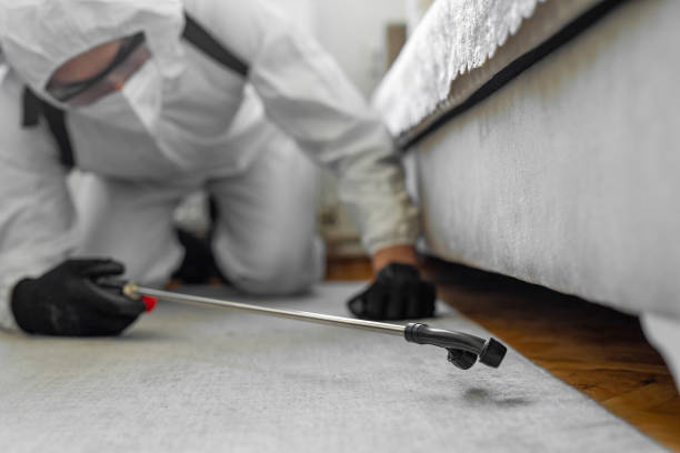 Professional Termite Control technician working in Marshall County County, MN